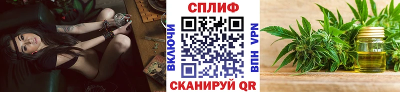 omg маркетплейс  Починок  Каннабис индика 